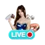 icon live casino